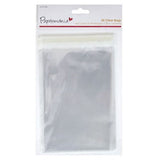 A6 Clear Bags